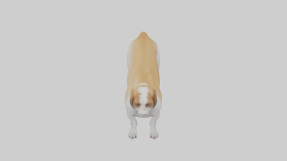 Dog Tail 3D model