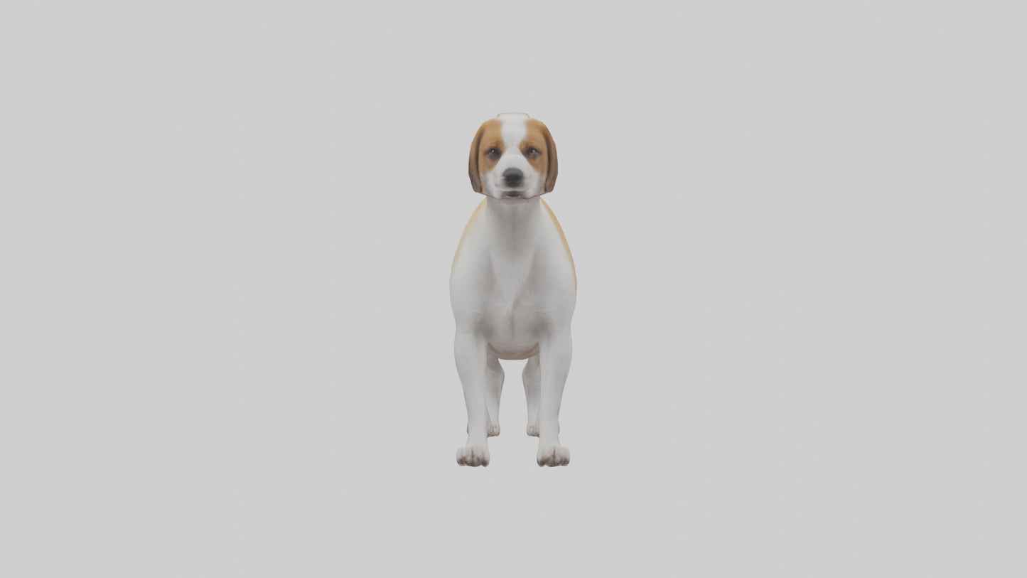 Dog Tail 3D model