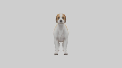 Dog Tail 3D model