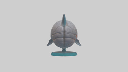 3D model Dolphin Brain VR / AR / low-poly