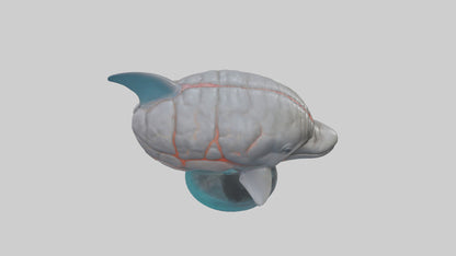 3D model Dolphin Brain VR / AR / low-poly