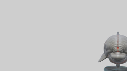 3D model Dolphin Brain VR / AR / low-poly