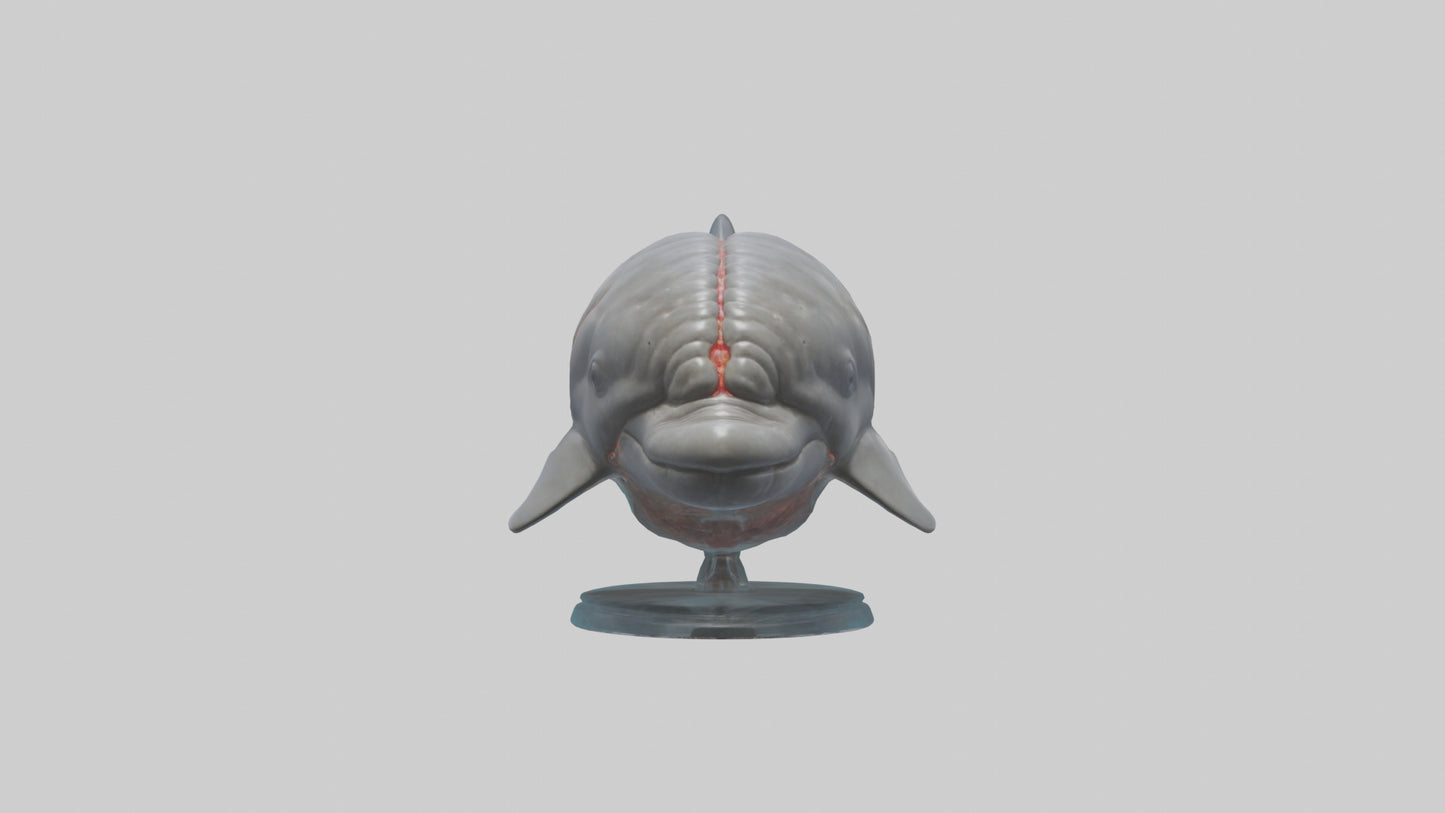 3D model Dolphin Brain VR / AR / low-poly