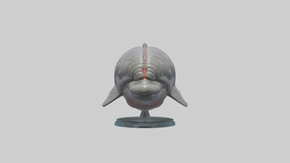 3D model Dolphin Brain VR / AR / low-poly