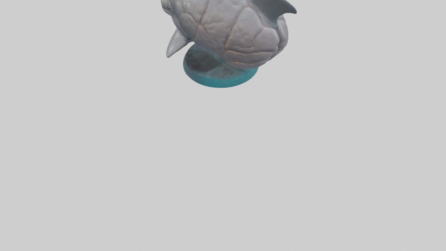3D model Dolphin Brain VR / AR / low-poly