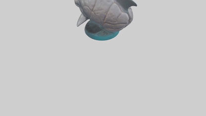 3D model Dolphin Brain VR / AR / low-poly