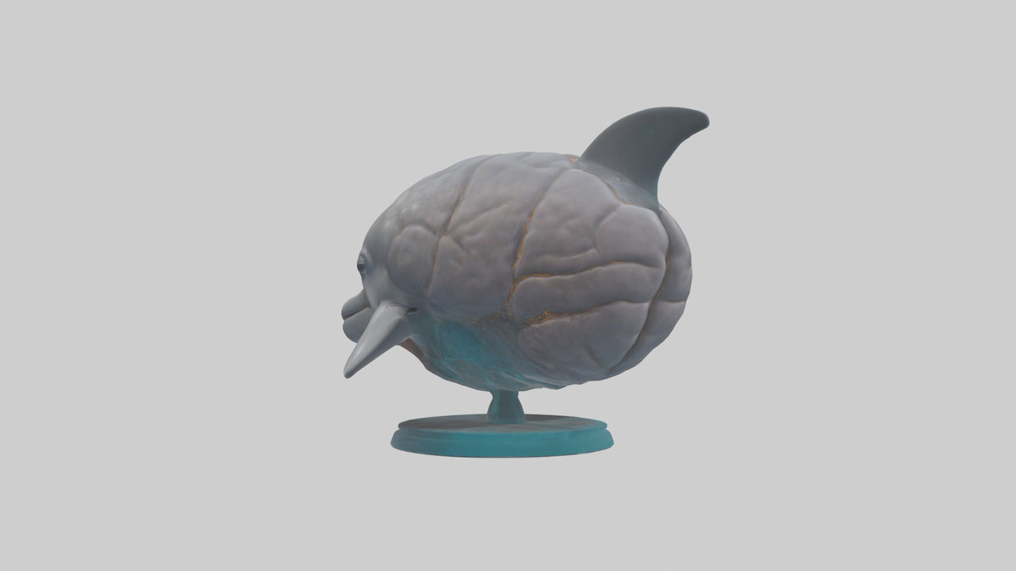 3D model Dolphin Brain VR / AR / low-poly