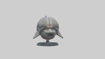 3D model Dolphin Brain VR / AR / low-poly