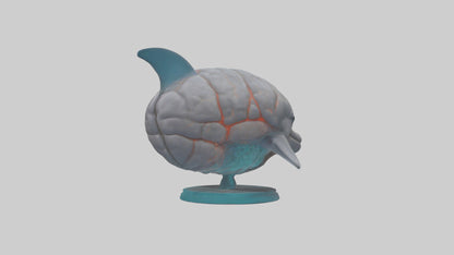 3D model Dolphin Brain VR / AR / low-poly