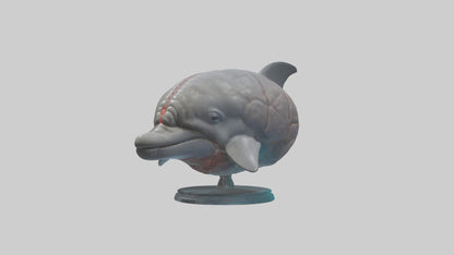 3D model Dolphin Brain VR / AR / low-poly