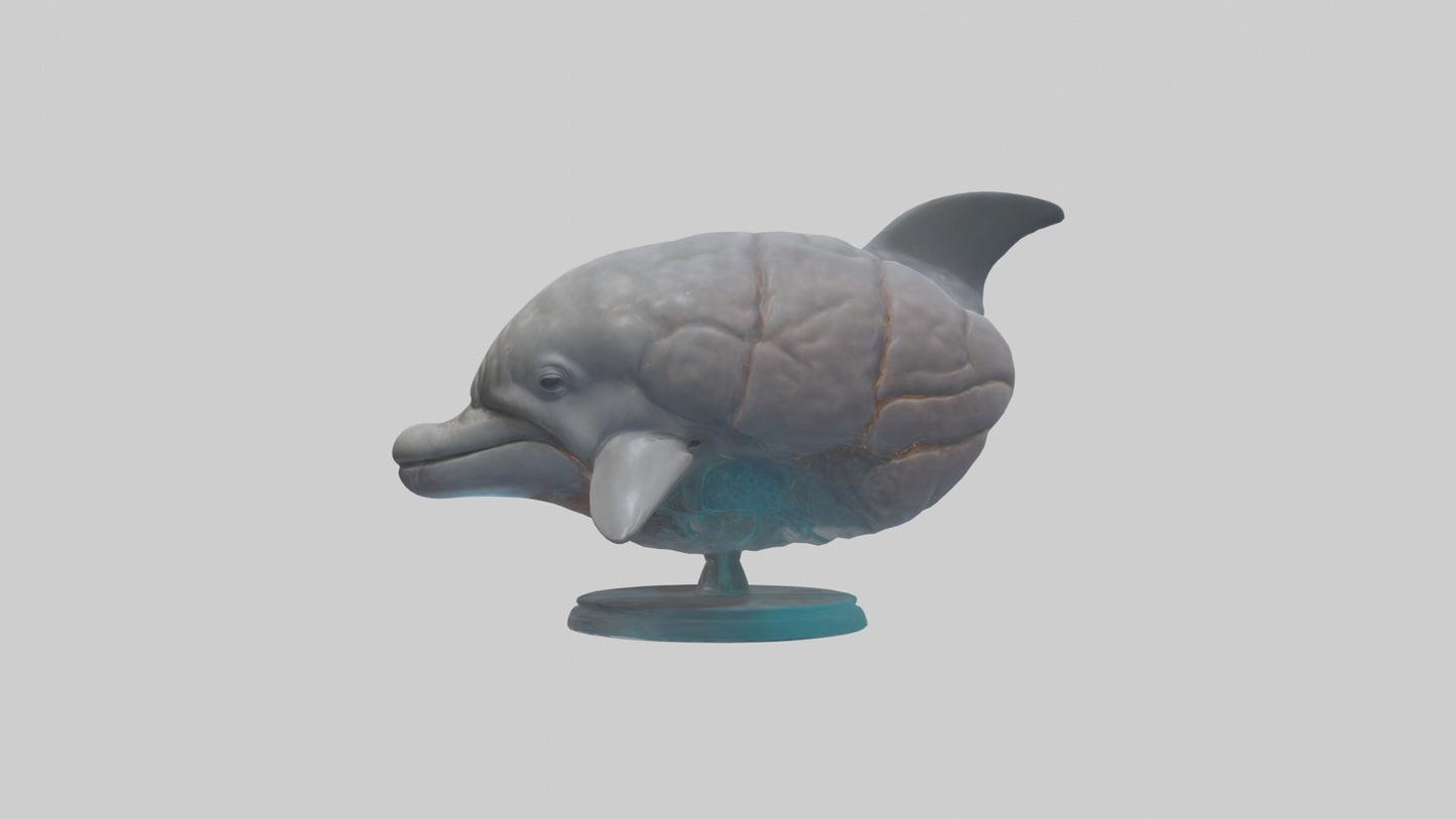 3D model Dolphin Brain VR / AR / low-poly