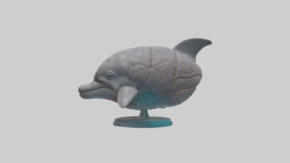 3D model Dolphin Brain VR / AR / low-poly