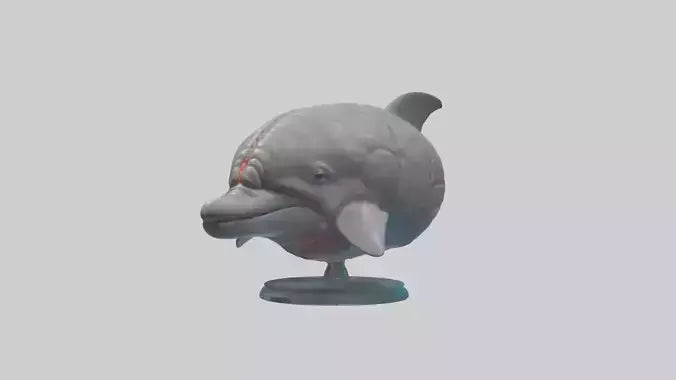 3D model Dolphin Brain VR / AR / low-poly