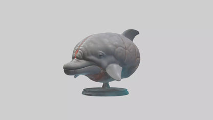 3D model Dolphin Brain VR / AR / low-poly
