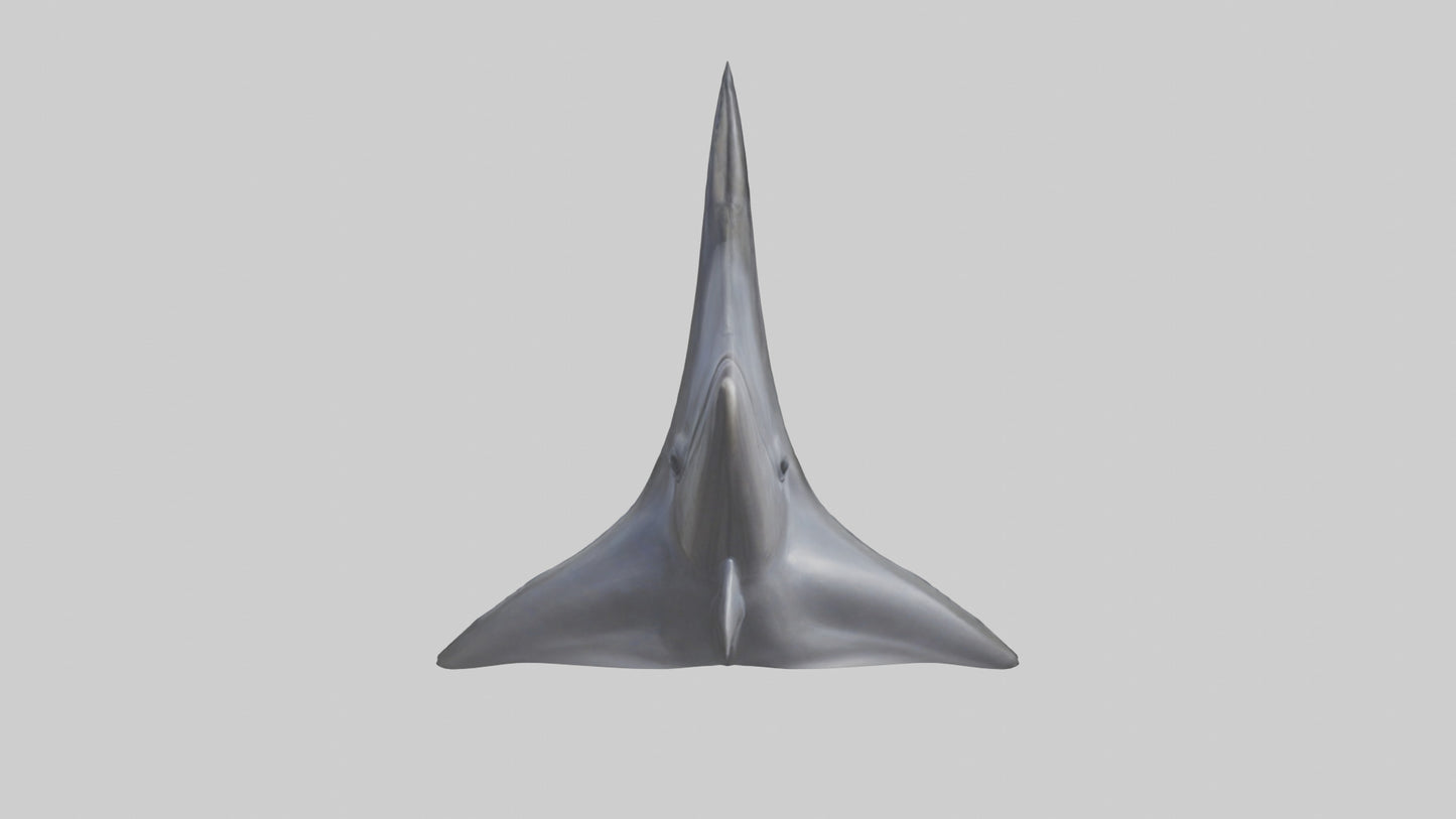 3D model Dolphin Dorsal Fin VR / AR / low-poly