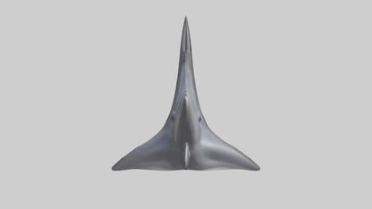 3D model Dolphin Dorsal Fin VR / AR / low-poly
