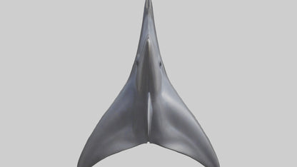 3D model Dolphin Dorsal Fin VR / AR / low-poly