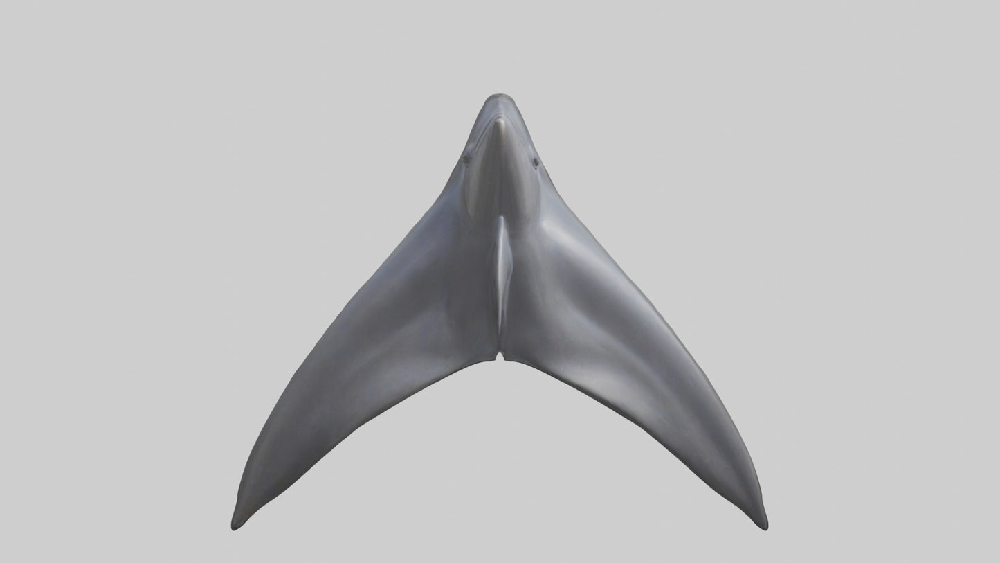 3D model Dolphin Dorsal Fin VR / AR / low-poly