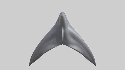 3D model Dolphin Dorsal Fin VR / AR / low-poly