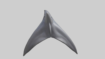 3D model Dolphin Dorsal Fin VR / AR / low-poly