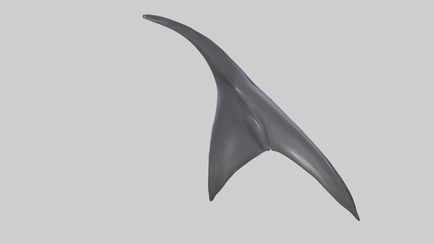 3D model Dolphin Dorsal Fin VR / AR / low-poly