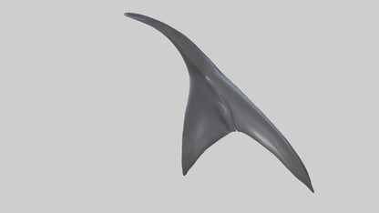 3D model Dolphin Dorsal Fin VR / AR / low-poly