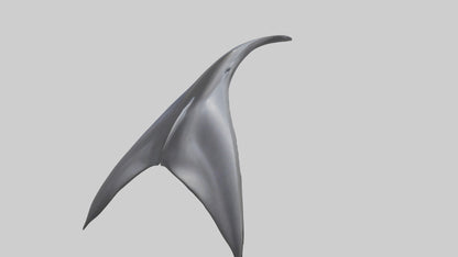 3D model Dolphin Dorsal Fin VR / AR / low-poly