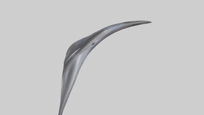 3D model Dolphin Dorsal Fin VR / AR / low-poly