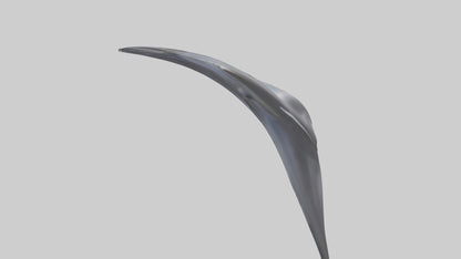 3D model Dolphin Dorsal Fin VR / AR / low-poly