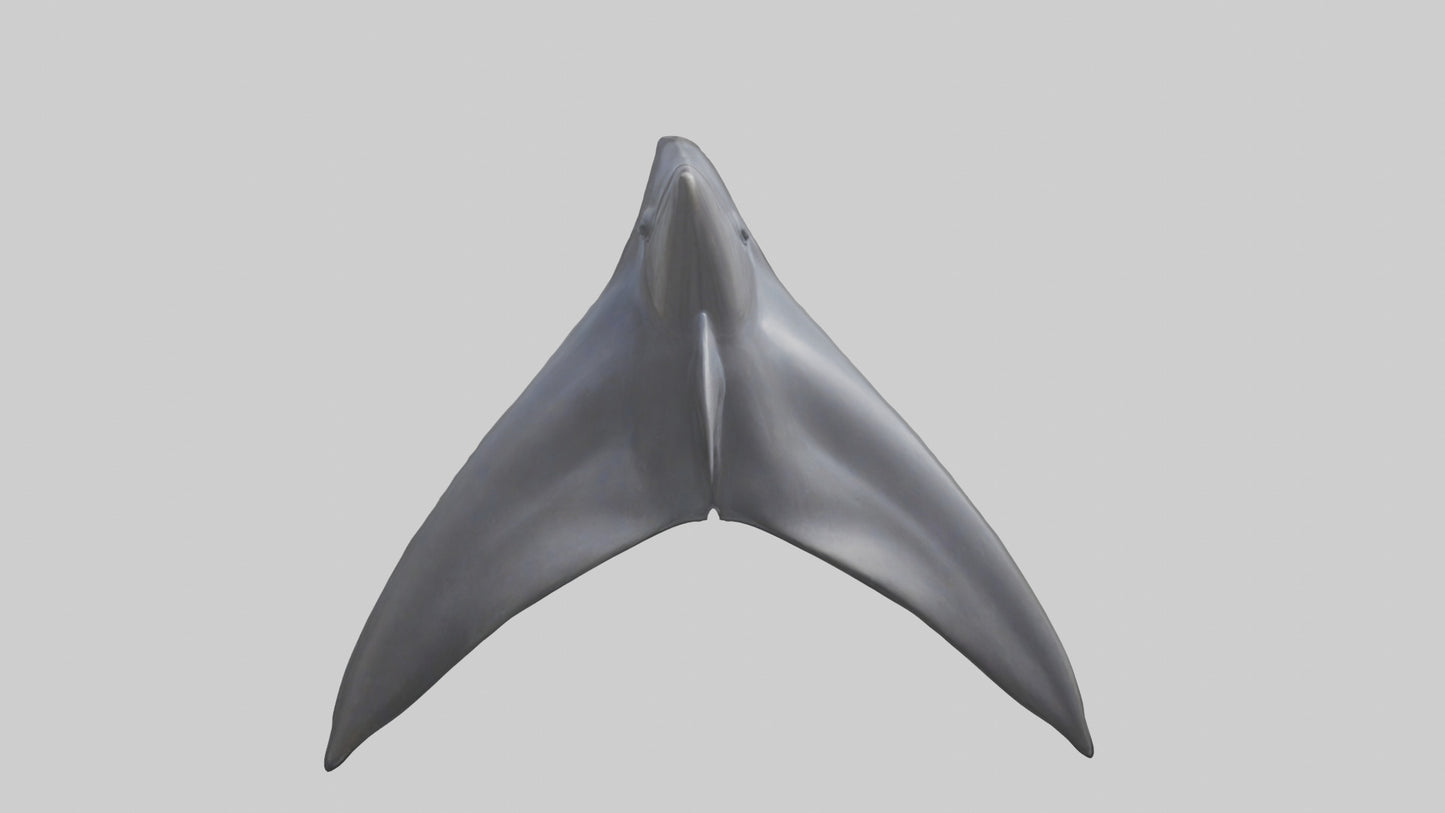 3D model Dolphin Dorsal Fin VR / AR / low-poly