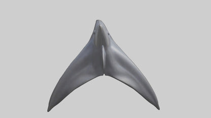 3D model Dolphin Dorsal Fin VR / AR / low-poly