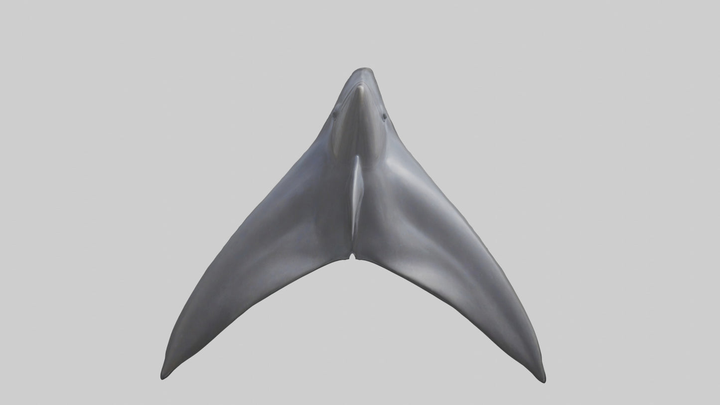 3D model Dolphin Dorsal Fin VR / AR / low-poly