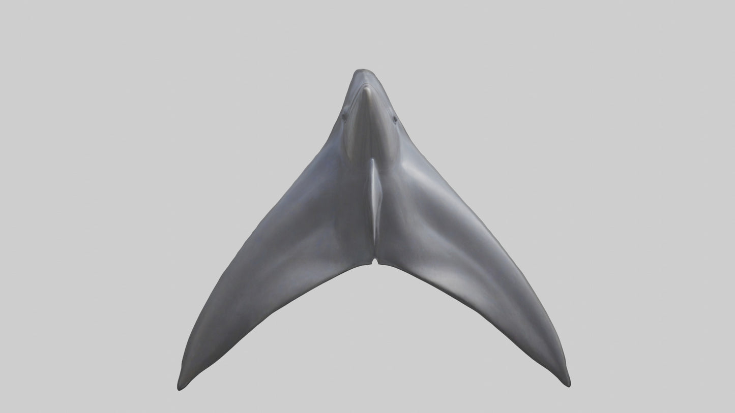 3D model Dolphin Dorsal Fin VR / AR / low-poly