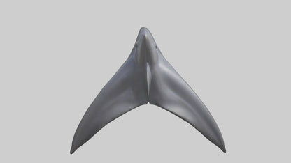3D model Dolphin Dorsal Fin VR / AR / low-poly