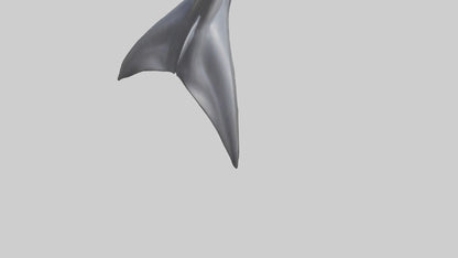 3D model Dolphin Dorsal Fin VR / AR / low-poly