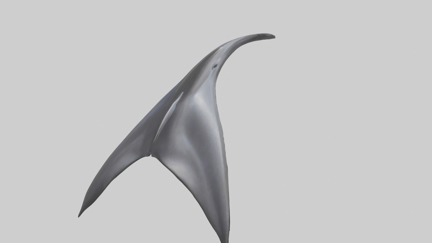 3D model Dolphin Dorsal Fin VR / AR / low-poly