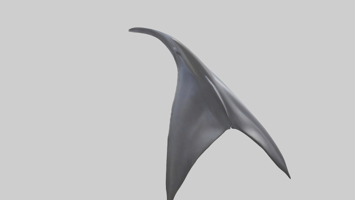 3D model Dolphin Dorsal Fin VR / AR / low-poly