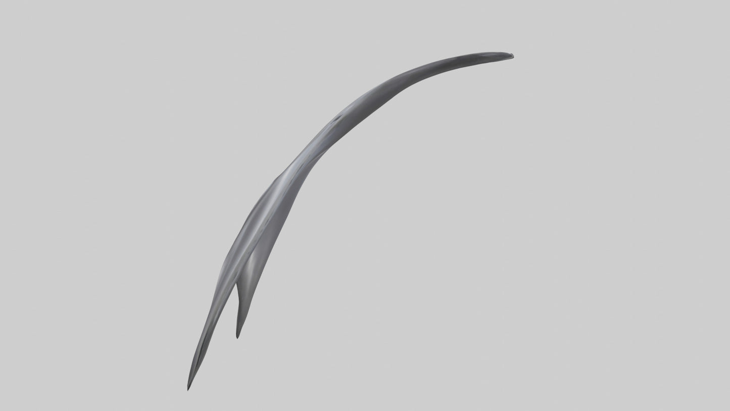 3D model Dolphin Dorsal Fin VR / AR / low-poly