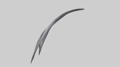 3D model Dolphin Dorsal Fin VR / AR / low-poly