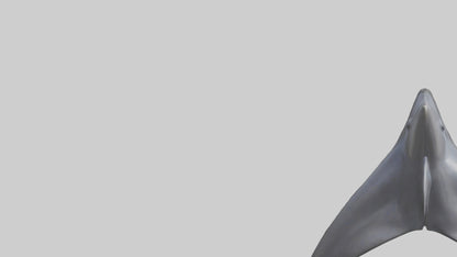 3D model Dolphin Dorsal Fin VR / AR / low-poly