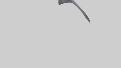 3D model Dolphin Dorsal Fin VR / AR / low-poly