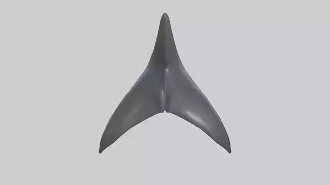 3D model Dolphin Dorsal Fin VR / AR / low-poly