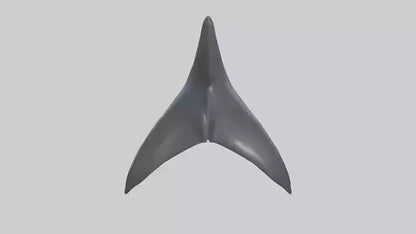 3D model Dolphin Dorsal Fin VR / AR / low-poly