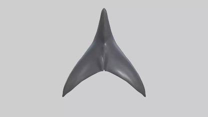 3D model Dolphin Dorsal Fin VR / AR / low-poly