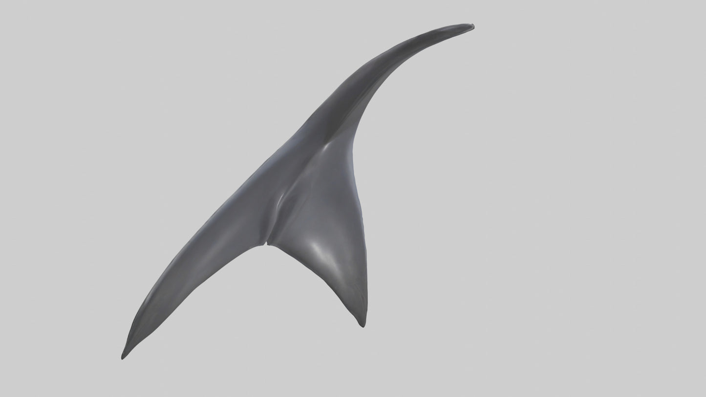 3D model Dolphin Dorsal Fin VR / AR / low-poly
