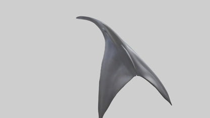 3D model Dolphin Dorsal Fin VR / AR / low-poly