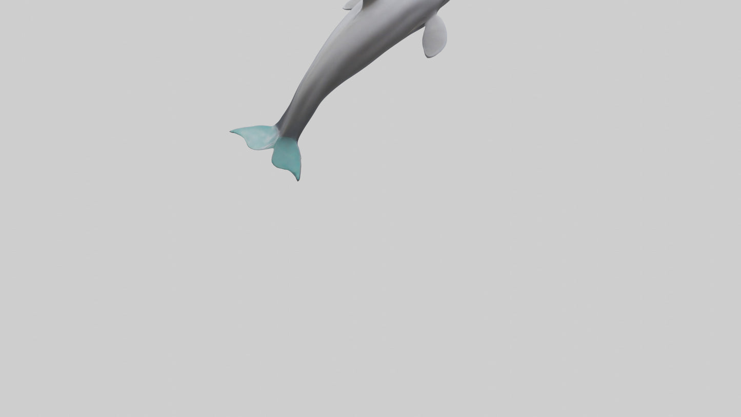 Dolphin Dorsal Fin Model VR / AR / low-poly