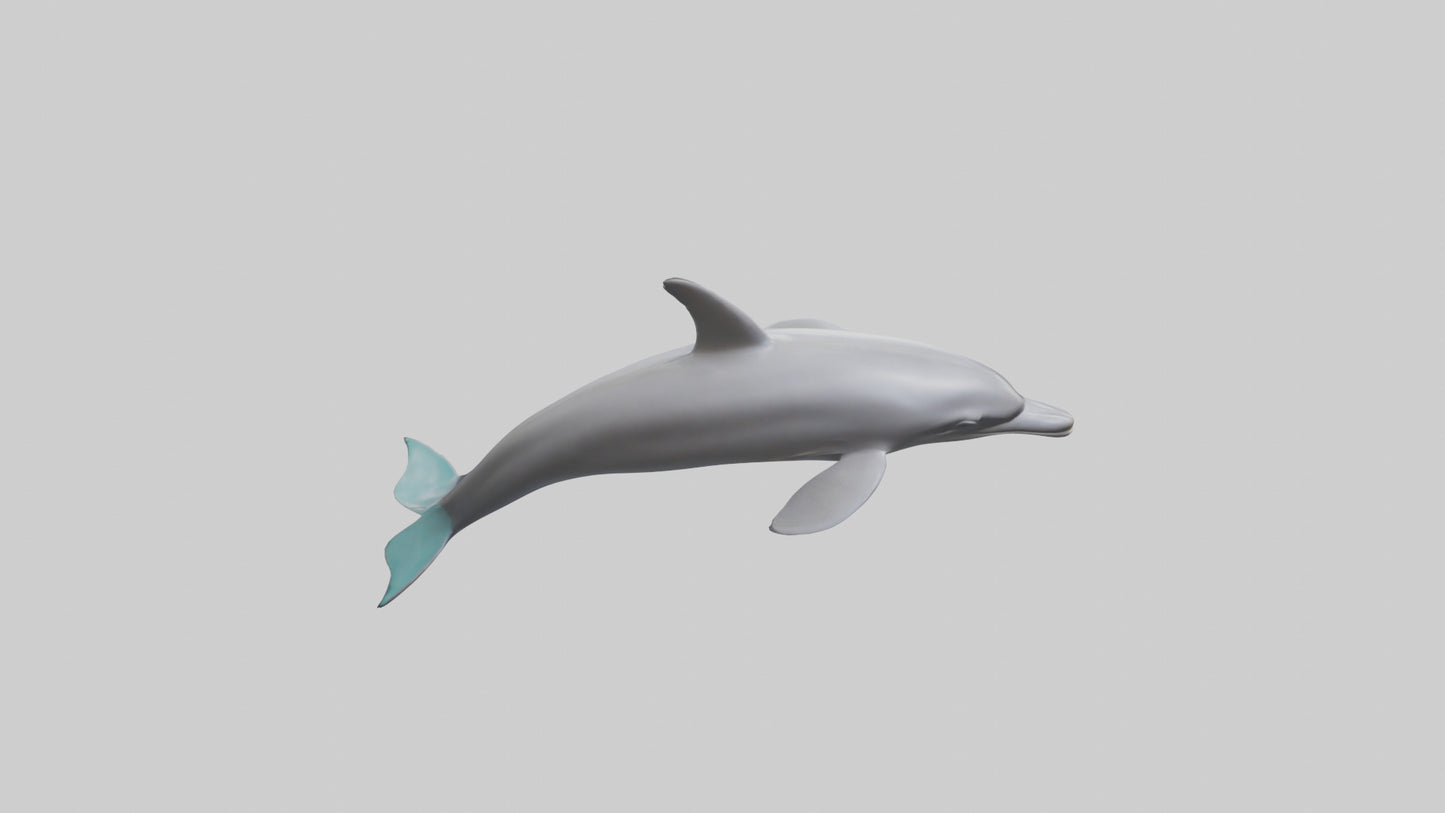 Dolphin Dorsal Fin Model VR / AR / low-poly