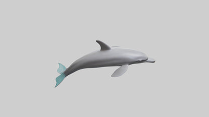 Dolphin Dorsal Fin Model VR / AR / low-poly
