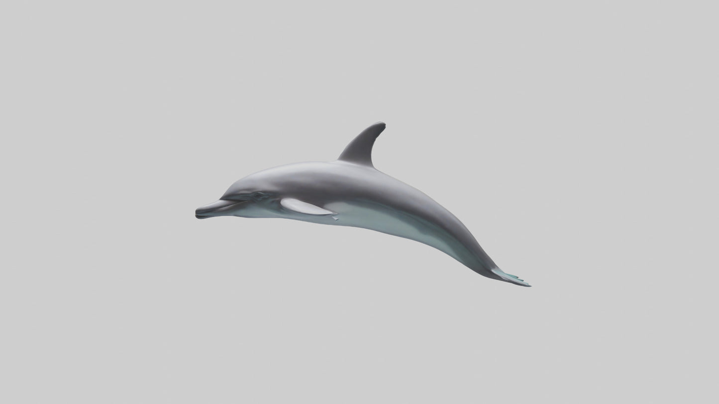 Dolphin Dorsal Fin Model VR / AR / low-poly